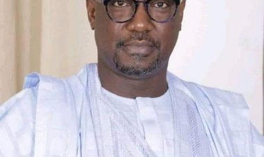 NIGER GOVERNMENT ASSURES OF ITS REDINESS TO SUPPORT ARABIC LANGUAGE