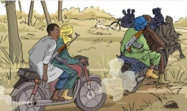 Mahara Sun Kashe 'Yansanda 2 Sun  Tafi Da Wani Dan kasuwa A Jigawa