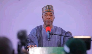 Opinion:The Political Miracle Called Zulum