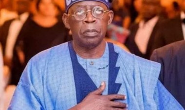 Jihohin Da Ya Wajaba Tinubu Ya Ci Idan Yana Son Nasara A Zaben 2023