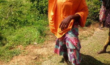 Tambuwal Zai Karbo Bashin Biliyan Hudu Domin Rabawa Manoma a Sakkwato