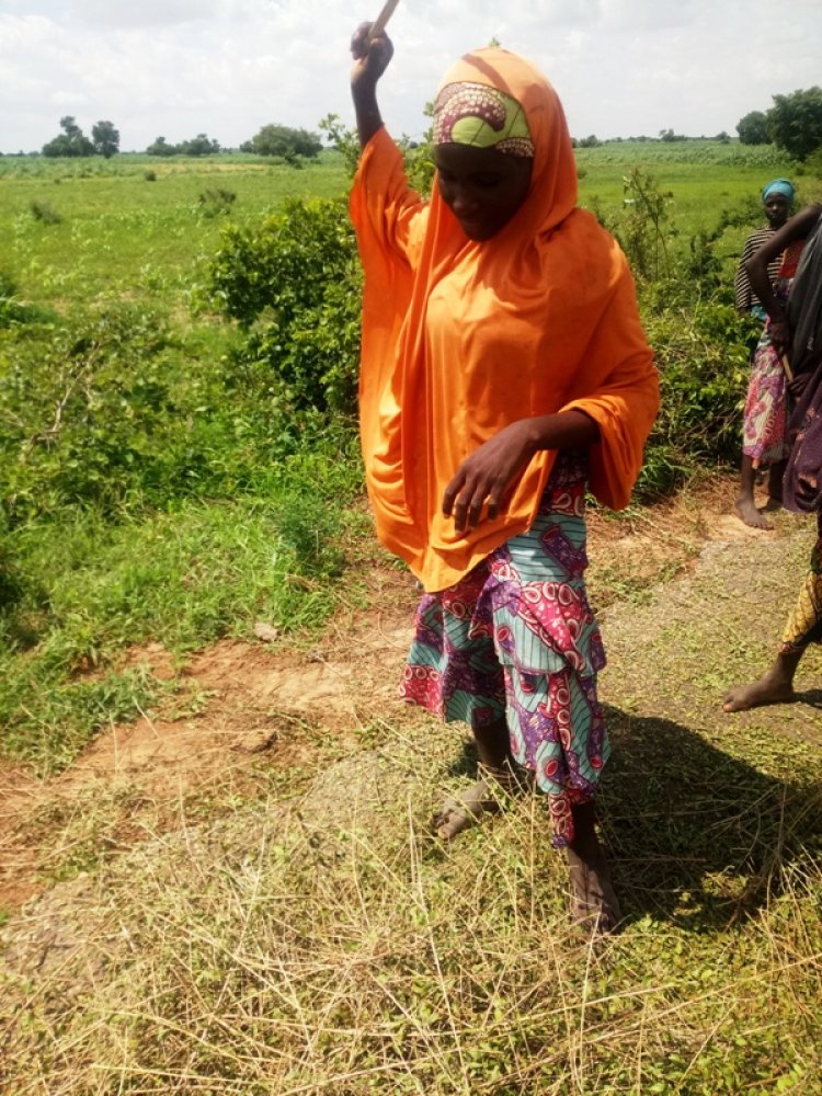 Tambuwal Zai Karbo Bashin Biliyan Hudu Domin Rabawa Manoma a Sakkwato