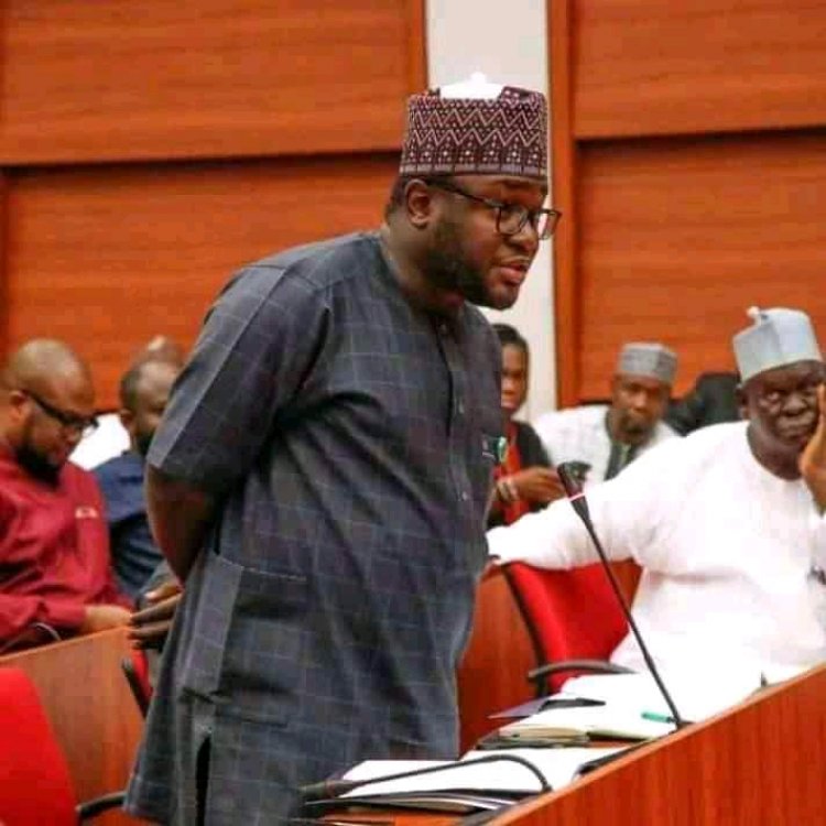 Tukura Ga Majalisar Wakillai: Akalla 'Yan Bindiga Sun Kashe Mana Mutane  500  Kebbi 