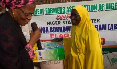 Gwamnatin Tarayya Ta Tallafawa Manoman Alkama 2500 A Neja