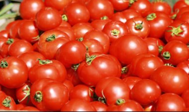 Yanda Ake Gyaran Fuska Da Tumatir Ta Yi Sheki Da Kyau