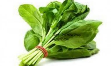 Labarin GUDALIYA Mai Ƙusumbi