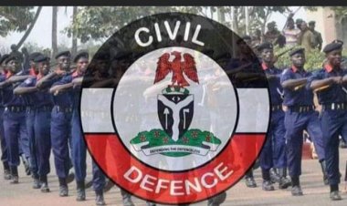 Civil Defence Expresses Zero Tolerance For Vandalisation In Zamfara State