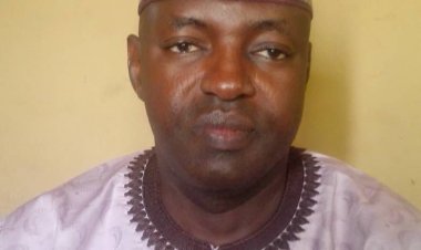 CBN anchor borrower will boost cotton farming in Nigeria----Sadiq Ado