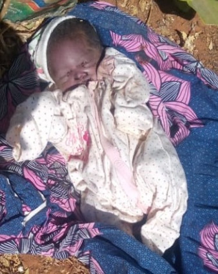 An Tsinci Gawar Jaririya Sabuwar Haihuwa A Sakkwato