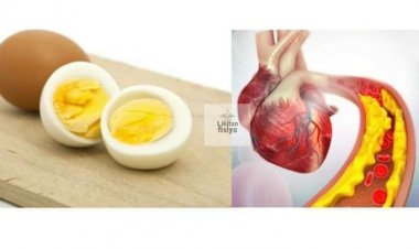 Bayani Kan Adadin ƙwan  Da Mutum Zai Ci, Ba Zai Haifar Masa Da Ciyon Zuciya da  Wasu Matsalolin Jiki