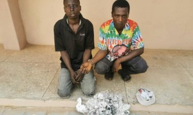 Zamfara Police Nabs 2 For Stealing, Vandalizing  PHCN Cables