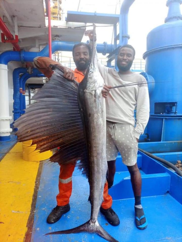  'Yan Nijeriya Sun Kama Kifi Mafi Sauri A Duniya Kudinsa Ya Haura Naira Dubu 600