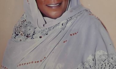 The Reason Why Barde is a Threat to Inuwa's Re-election Bid  in Gombe---Women leader
