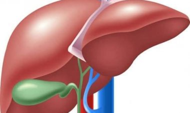 Allah Gwani Ko Ka San Ayyukan Hanta A Jikinka?