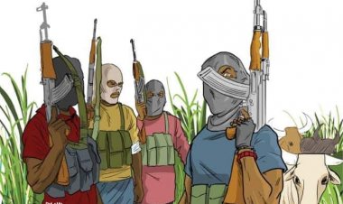 Yadda Bello Turji Ke Nadawa da Sauke Hakimmai  a Sokoto