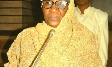 Tinubu ya Naɗa Kulu Haruna da wasu mutane sama da 30 a matsayin jakadun Najeriya 