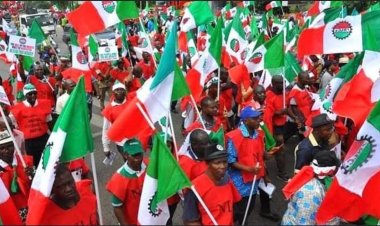 Fuel Subsidy Removal: Zamfara NLC Sets To Join Wednesday's Nation Wide Strike 