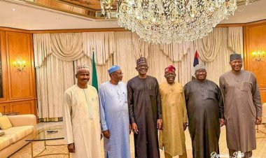 Gwamnonin Arewa Da Suke da Iyaka Da Kasar Nijar, Sun Nunawa Tinubu Illar Yakar Kasar