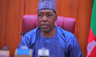 Zulum: With our 3 Professors, repositioning Borno’s healthcare is now or never