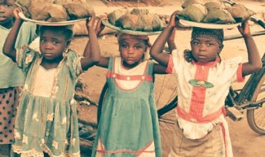 Kutu Ta Hukunta Iyaye Masu Tura 'Ya'Yansu Wurin Bara