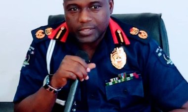 Jami'an NSCDC sun kama dilan wiwi a Kano