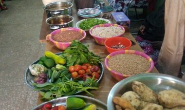 Gurɓataccen Abinci Da Aka Haɗa da Garin Masara ya kashe Karnuka 400