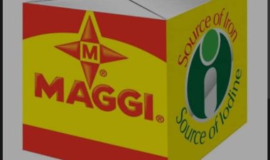 NAFDAC ta kwace Katon 24 na Magi Dunkule da ya lalace a Sokoto