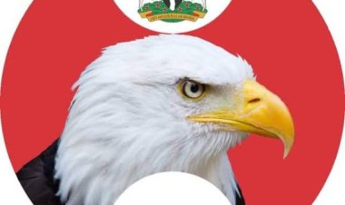 EFCC denies shooting students at Kwara University