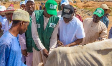 Gwale vet lab, other health facilities team up for One Health