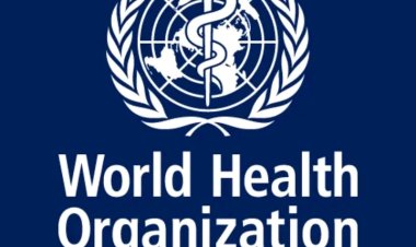 WHO, Yobe Govt integrate GBV, PRS into Cerebrospinal Meningitis response