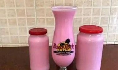 Yadda Zaki hada Hollandia Yoghurt a Cikin Sauƙi