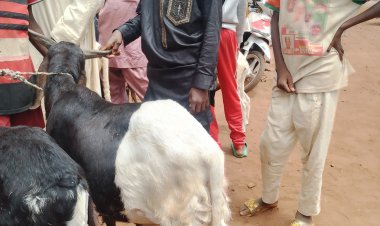 BUKIN SALLAH: A SOKOTO WANI ATTAJIRI   YA BAIWA HUKUMAR    ZAKKA DA WAKAFI  RAGUNA 20,  DAN RABAWA MABUƘATA