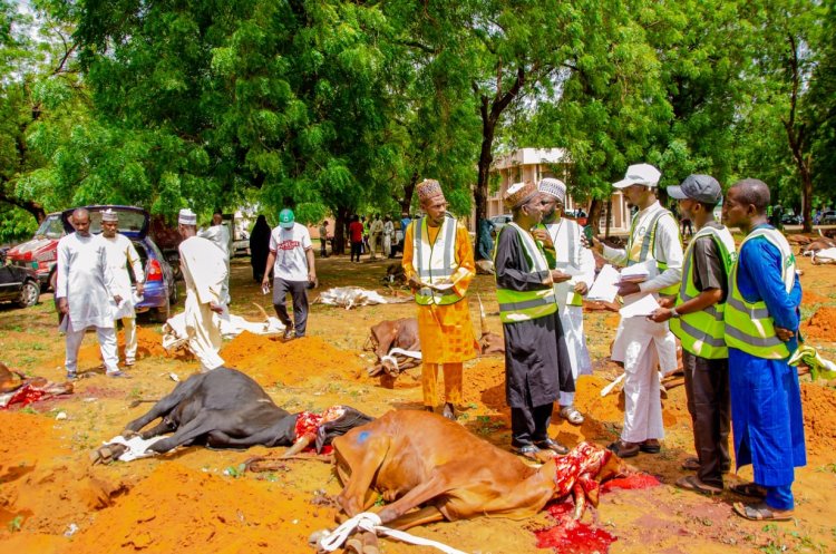 Sama da gidaje dubu 50 ne suka samu naman layyar  wannan shekara a Sokoto-----Lawal Maidoki