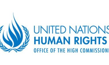 UN Experts Call for Urgent Action to End Torture in Nigeria