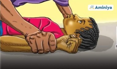 A shekara ɗaya an yi wa yara ƙanana 1,114 fyaɗe a Sakkwato