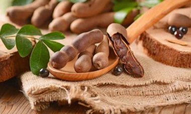 AMFANIN TSAMIYA A JIKIN DAN ADAM DA MATSALAR DA TAKE HAIFARWA