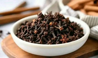 ANFANIN SHAN SHAYIN TAZARGADE DA KANINFARI