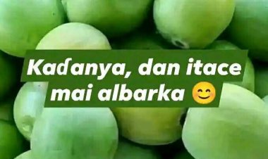 KAƊANYA AMFANINTA DA SIRRUNKANTA