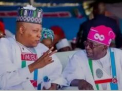 Now That Shettima Is No Longer Wanted in the APC, Why Is He Still Clinging to a Dead Horse?