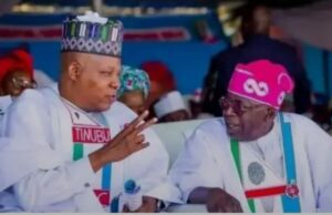 Now That Shettima Is No Longer Wanted in the APC, Why Is He Still Clinging to a Dead Horse?