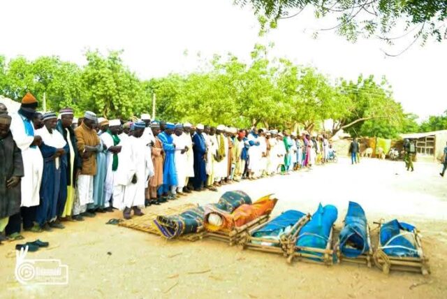 FB_IMG_1769106931403