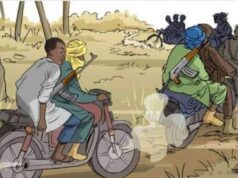 Gwamnatin Katsina ta haramta bin wasu hayyoyin mota, sayar da dabbobi da tsoffin babura