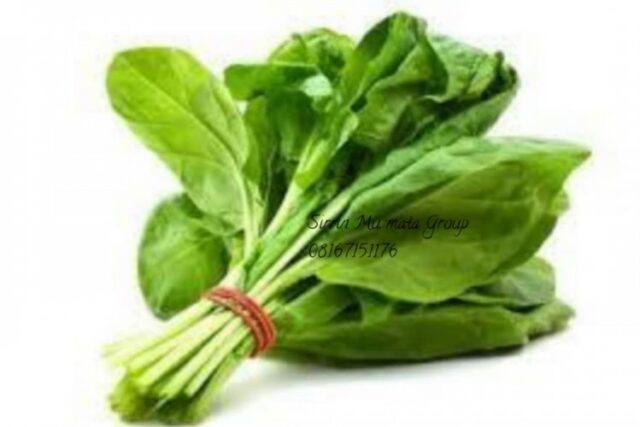 image_750x500_61d4747dd0419