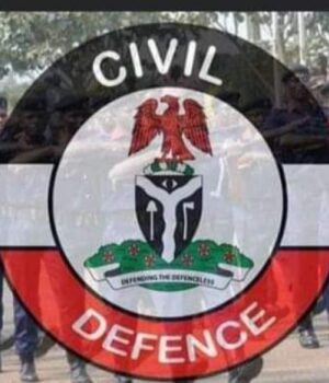 Civil Defense Corps Has Allegedly Killed a 28 Year Old in Minna