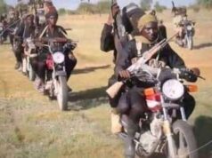 Bandits Abduct Over 20 Residents in Sokoto