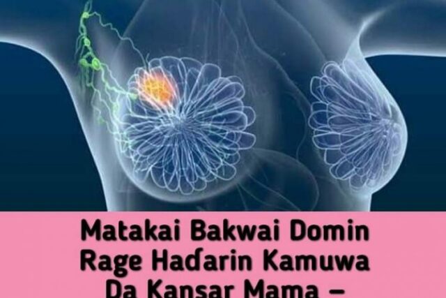 image_750x500_6339e0d970f4d