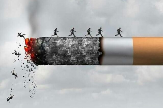 image_750x500_636fe3364b64a