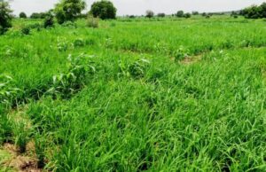 Sokoto L-PRES Urged to Maintain Standards in Project Execution