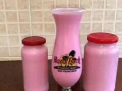 Yadda Zaki hada Hollandia Yoghurt a Cikin Sauƙi