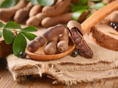 AMFANIN TSAMIYA A JIKIN DAN ADAM DA MATSALAR DA TAKE HAIFARWA